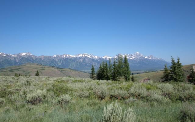 Landscape view of the Snake River land parcels with mountains and trees with a blue sky.