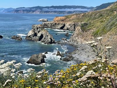 A cove with a rocky beach and yellow flowers.