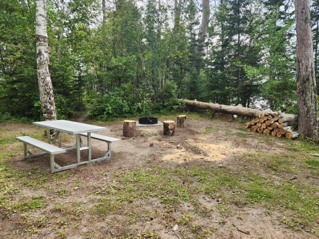 A picnic table and fire pit surrounded by trees, with logs stacked nearby, in a tranquil campsite setting.