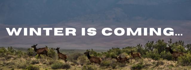 Image of elk out on the range with text overlay that reads "winter is coming"