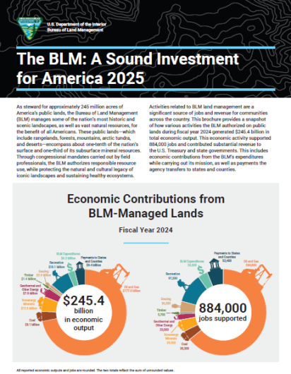 Cover of A Sound Investment for America 2025 featuring fiscal year 2024 date across major program sectors
