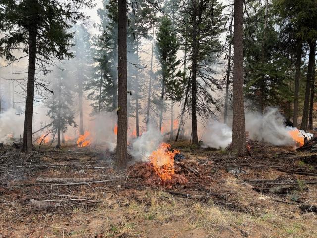  A prescribed fire pile burn