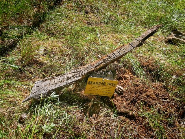 tree distance indicator