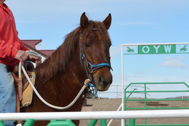BLM-WY-WHF2025