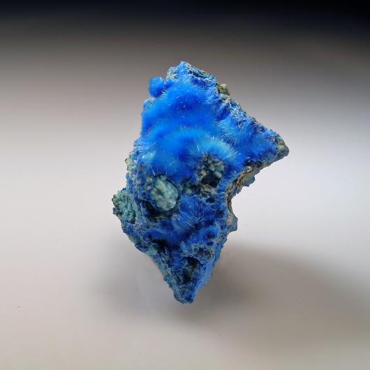 Blue Gem, glistening