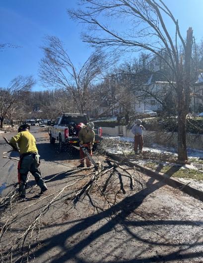 Firefighters clearing broken branches from residential area after storm passed through.