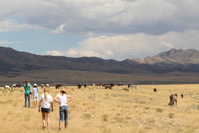 Youth stand in sage brush rangeland looking at horses grazing in the distance with hills and cloudy skies in the background. 
