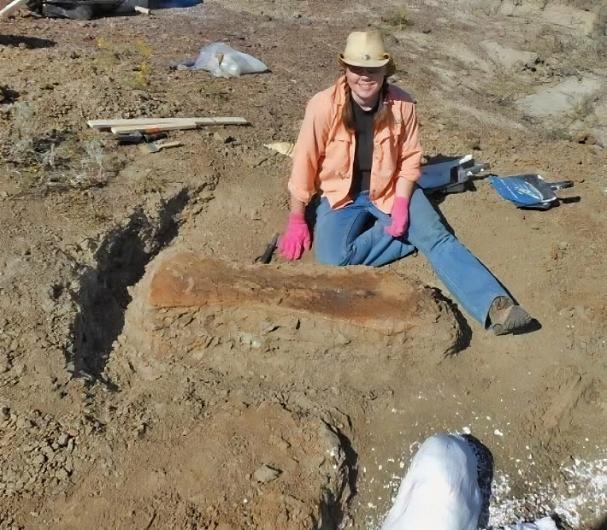 Fossil digging