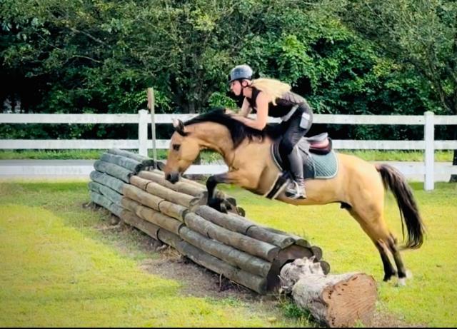 A woman on a horse jumping an obstacle during a bridleless cross-country competition.