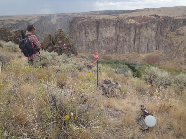 more field work
