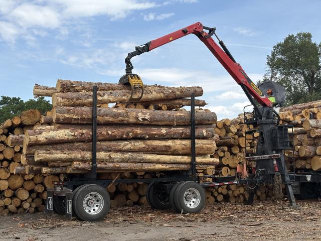 Forestry equipment stacks harvested logs onto a trailer