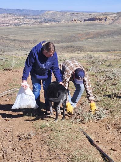 blue sky with two people and a dog picking up trash