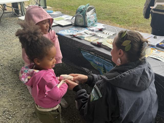 A Bureau of Land Management educator helps two young children hold a light-colored snake during a hands-on wildlife demonstration at an outdoor education booth.