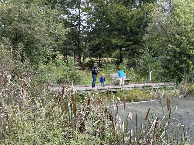 Adults and children stand on a wooden boardwalk overlooking a wetland pond surrounded by cattails and forest vegetation.