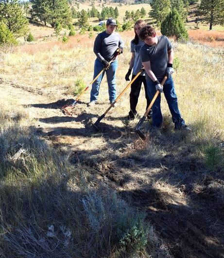 Three volunteers with shovels and digging implements dig a trail through brush