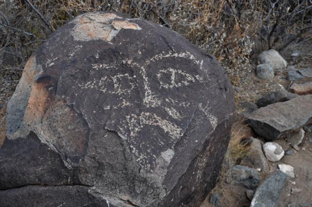 A view of a rock containing a petroglyph at Three Rivers Petroglyph Site in New Mexico. Photo by BLM.