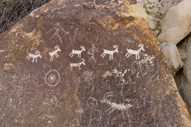 A brown rock has white carvings on it of bighorn sheep or similar game.