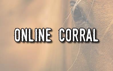A horse face with the text Online Corral