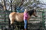 A woman standing with a horse. 