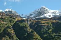 snow-capped mountains under a blue sky with fall foliage at lower elevations