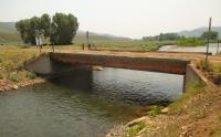 Bridge 