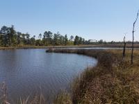 Fowl River