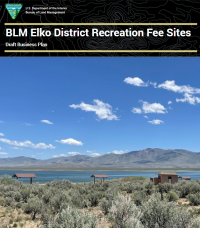 Draft Elko Business Plan