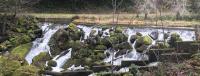 image showing water tumbling over a rocky dam with vegetation 