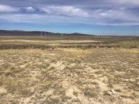 Image of land and wind turbines