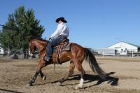A person riding a horse in arena