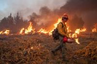 BLM firefighter burning cut and piled juniper trees in Owyhee County, Idaho