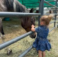 A girl and her horse... The Ultimate Bond.