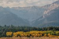 Centennial Wilderness