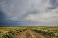 Road on Idaho Public Lands