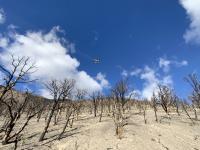 Crop Jet Aviation, LLC, is pictured seeding the Becky Peak Fire.