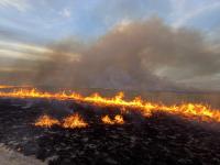 Prescribed Burn in Eddy County