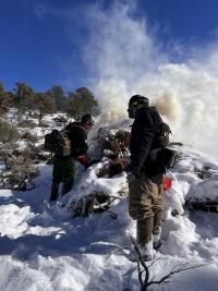 BLM firefighters ignite a slash pile in North Basque Canyon.