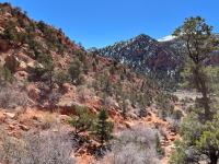 View of Cedar Canyon from Red Hill