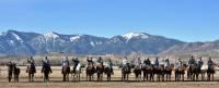 Group photo of saddle-started wild horses and trained burro offered at the NNCC February 24, 2024 adoption event.