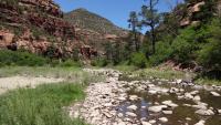 Image of Dolores River at low water.