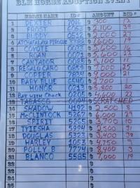 NNCC Adoption Results for the February 24, 2024 event