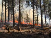 Fire on public lands
