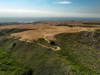 Cotoni-Coast Dairies seen from  the air: a green and yellow pasture receding to the ocean.