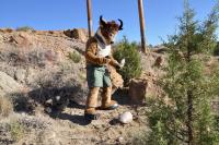 Seymour Antelope hiking and picking up litter in New Mexico. 