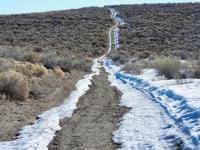 snowy on remote trail