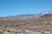 View of desert landscape with mountains in the background.