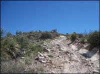 A path provides vehicle access.