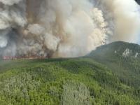 A dark smoke cloud towers above the flames of the fire moving through dense spruce forests on a hillside. 