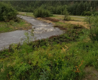 A stream bend.