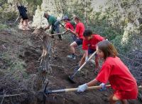 Volunteers helping clear a trail